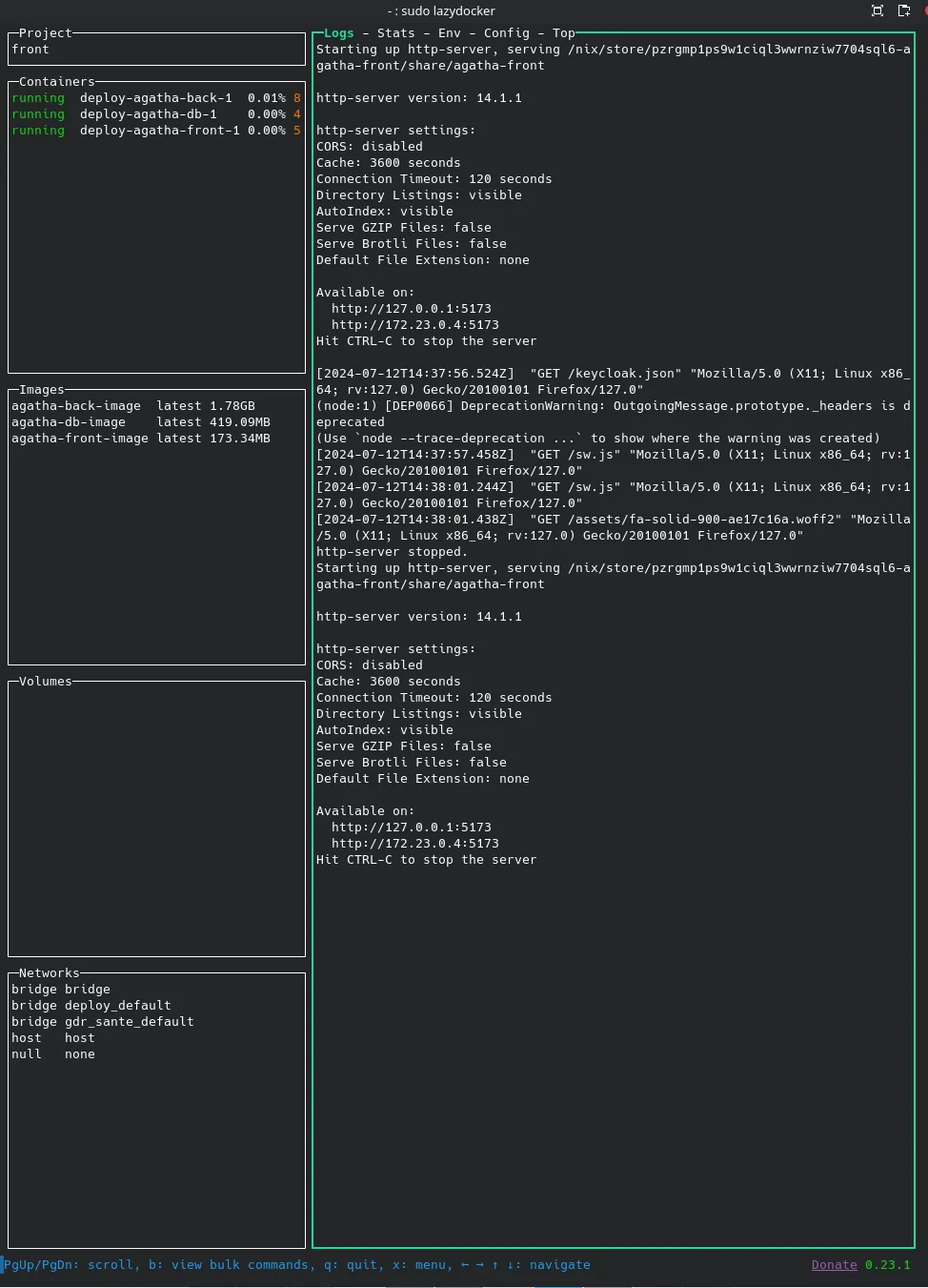 screenshot of the lazy docker utility